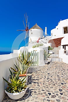 Windmill on the streets of Oia, santorini, Greece, Caldera,Aegea