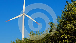 Windmill and strong wind in tree branches on blue sky background.renewable energy.Alternative energy sources