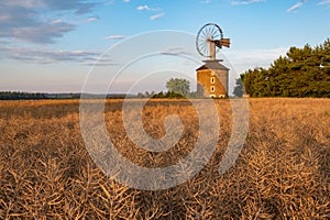 windmill summer with meadow