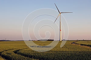 Windmill on sunset