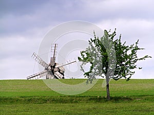 Windmill and Tree