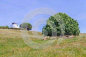 Windmill and Tree in the field in Vale Seco, Santiago do Cacem