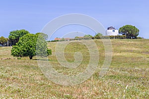 Windmill and Tree in the field in Vale Seco, Santiago do Cacem