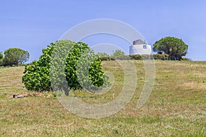 Windmill and Tree in the field in Vale Seco, Santiago do Cacem photo