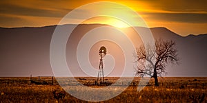 Windmill and a Tree at Sunset