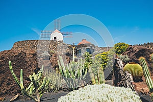 Windmill in tropical cactus garden in Guatiza village, popular attraction in Lanzarote