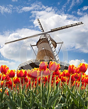 Windmill with tulips, Holland