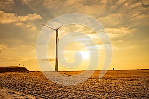 Windmill turbine field for electric production