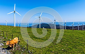 Windmill turbines in agricultural field with ocean background. photo