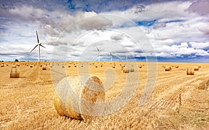 Windmill turbines in a agricultural landscape with fields and meadows