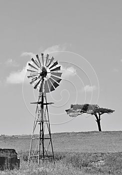 Windmill water pump