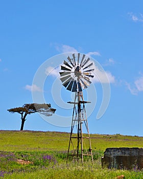 Windmill water pump photo