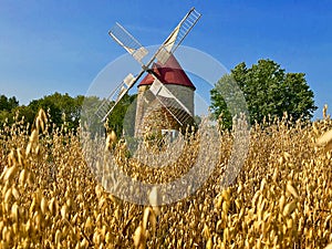 Charlevoix, windmill in a weath field