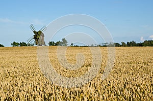 Windmill and wheat field