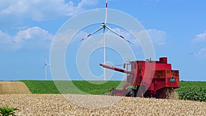 Windmill or wind turbines on yellow rural field ripe wheat