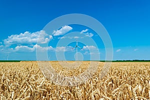 Windmill or wind turbines on yellow rural field ripe wheat. Landscape of an endless agricultural field and blue sky