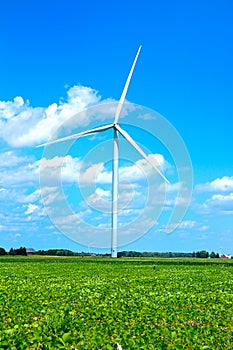 Windmill at windfarm