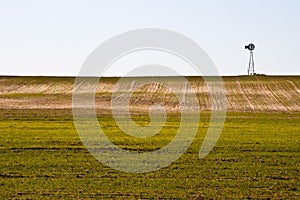 Windmill and Winter Wheat