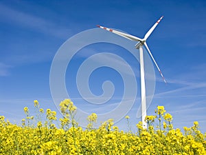 Windmill in yellow field