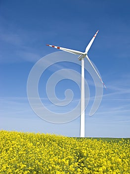 Windmill in yellow field