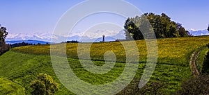 Windmill, Yellow Flower Field and Snowy Mountains on Sunny Spring Day.