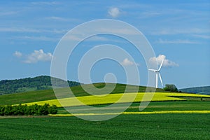 Windmill on a yellow-green field