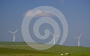 Windmills