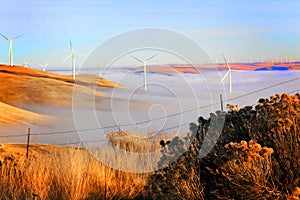 Windmills Above Fog