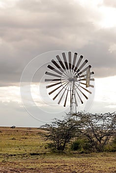 Windmills in the African savannah