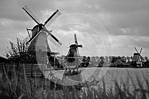 Windmills in Amsterdam