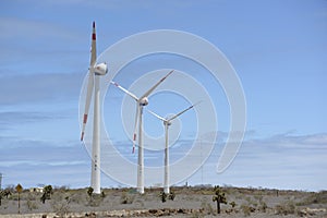 Windmills at the Baltra Airport, Aeropuerto Seymour photo