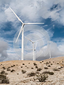 Windmills, Coachella Valley