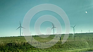 Thw windmills
