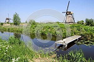 Windmills in Dutch landscape