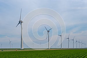 Windmills for electric power production Netherlands Flevoland, Wind turbines farm in sea, windmill farm producing green