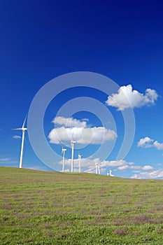 Windmills in field