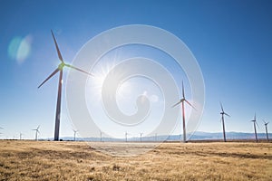 Windmills in a Field