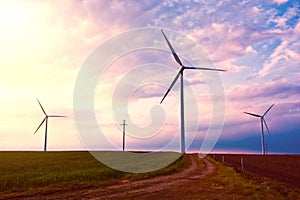 Windmills on the field at sunset in summer.