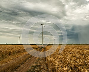 Windmills in a field with wheat