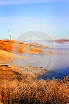 Windmills and Fog