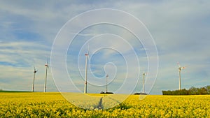 Windmills group in a rapeseed field.Bio fuel and green energy concept. slow movement of screws.Natural renewable clean