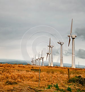 Windmills of Hawaii