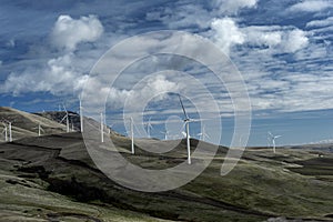 Windmills on a hillside Near Maryhill, Washington, Taken in Spring