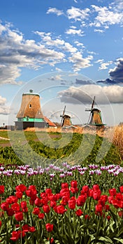 Windmills in Holland