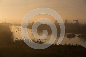 Windmills of Kinderdijk in morning mist