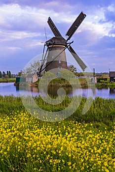 Windmills in Kinderdijk - Netherlands