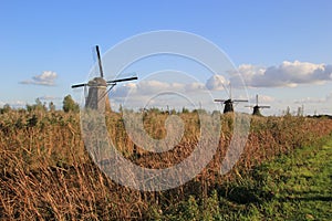 Windmills in Kinderdijk, Netherlands