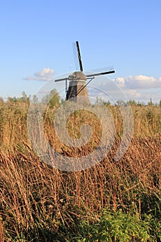 Windmills in Kinderdijk, Netherlands