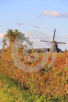 Windmills in Kinderdijk, Netherlands