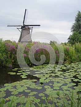 Windmills at Kinderdijk, The Netherlands